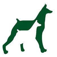 Dog Vet