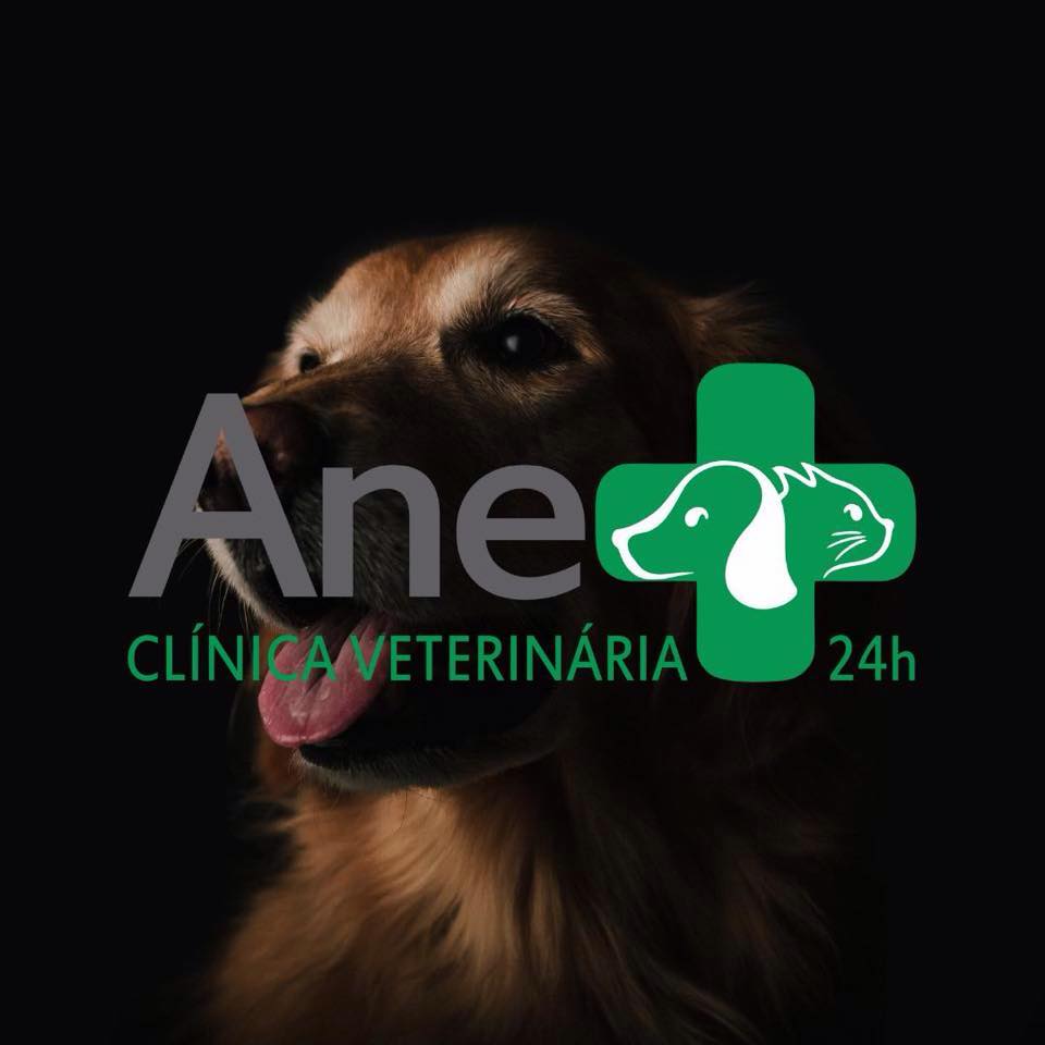 Ane +
