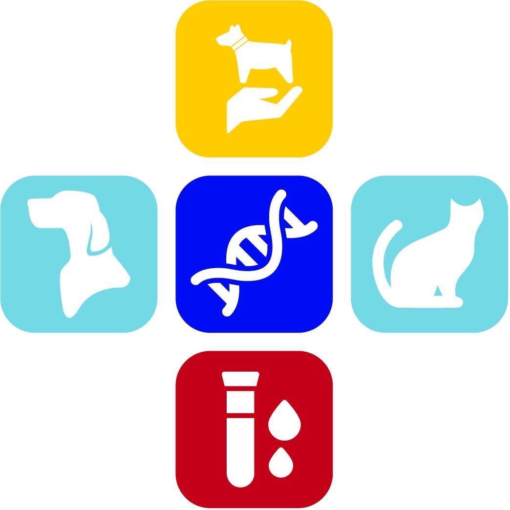 REHAB VET LAB