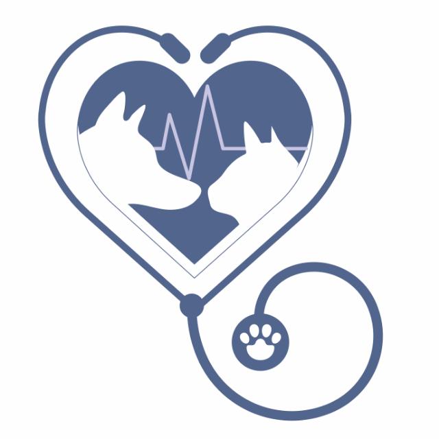 Hospital Veterinário VIDAS
