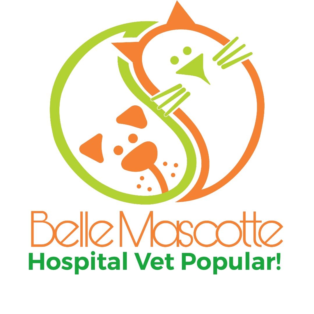Belle Mascotte Hospital Vet Popular