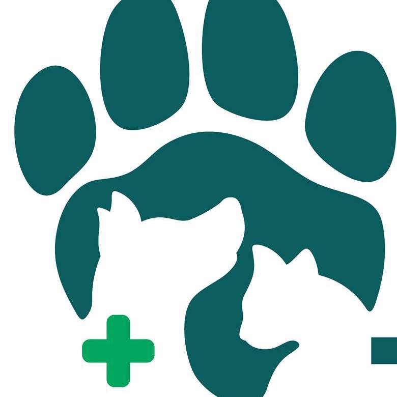 Clinica Veterinaria 24h É dos Bichos