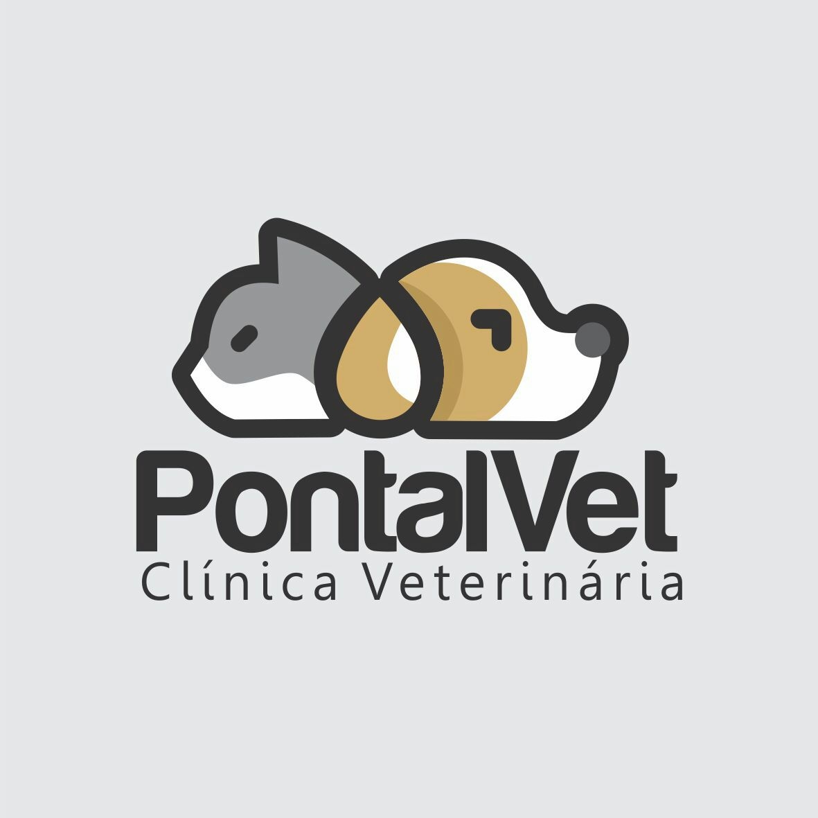Pontal vet