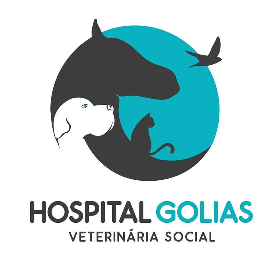 Hospital Golias