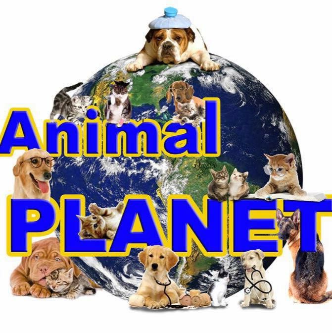 Animal Planet