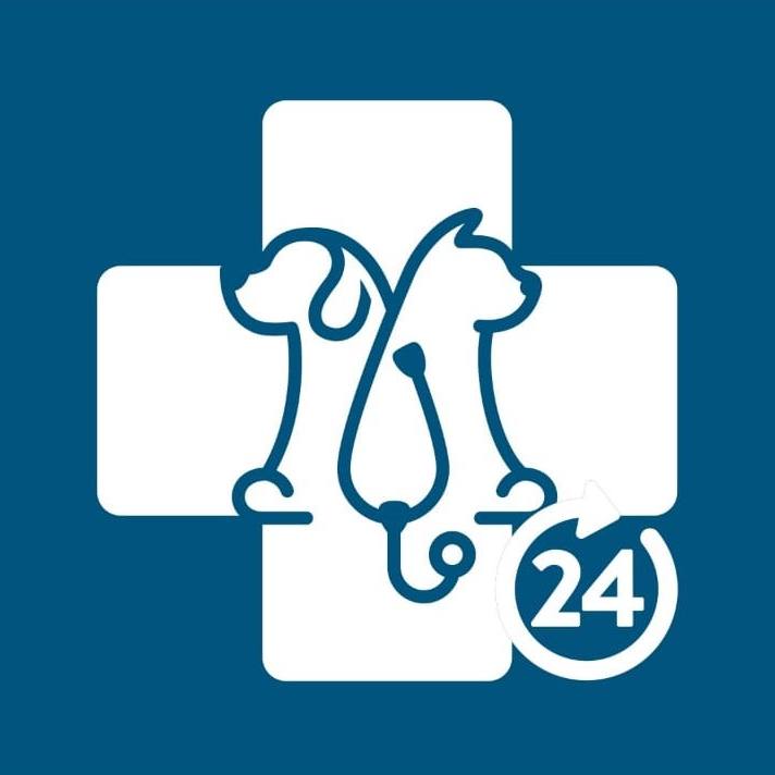 Madagascar Centro Médico Veterinário 24h