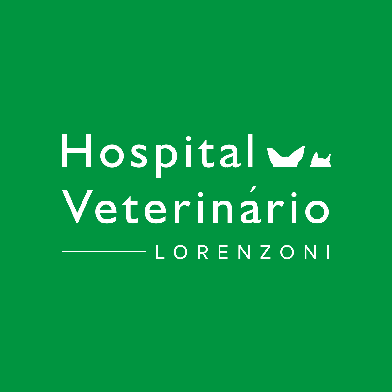 Hospital Veterinário Lorenzoni | Atendimento 24h