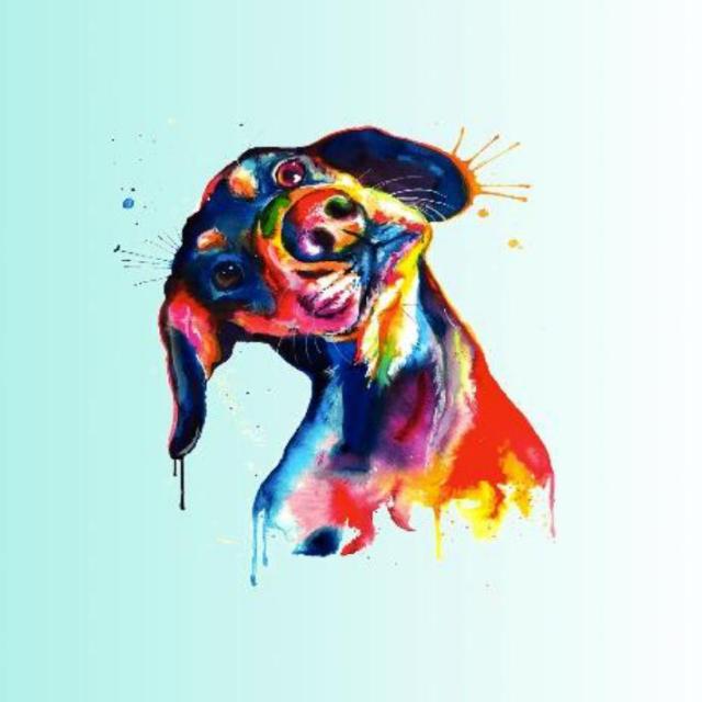 São Cãomilo