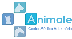 Animale