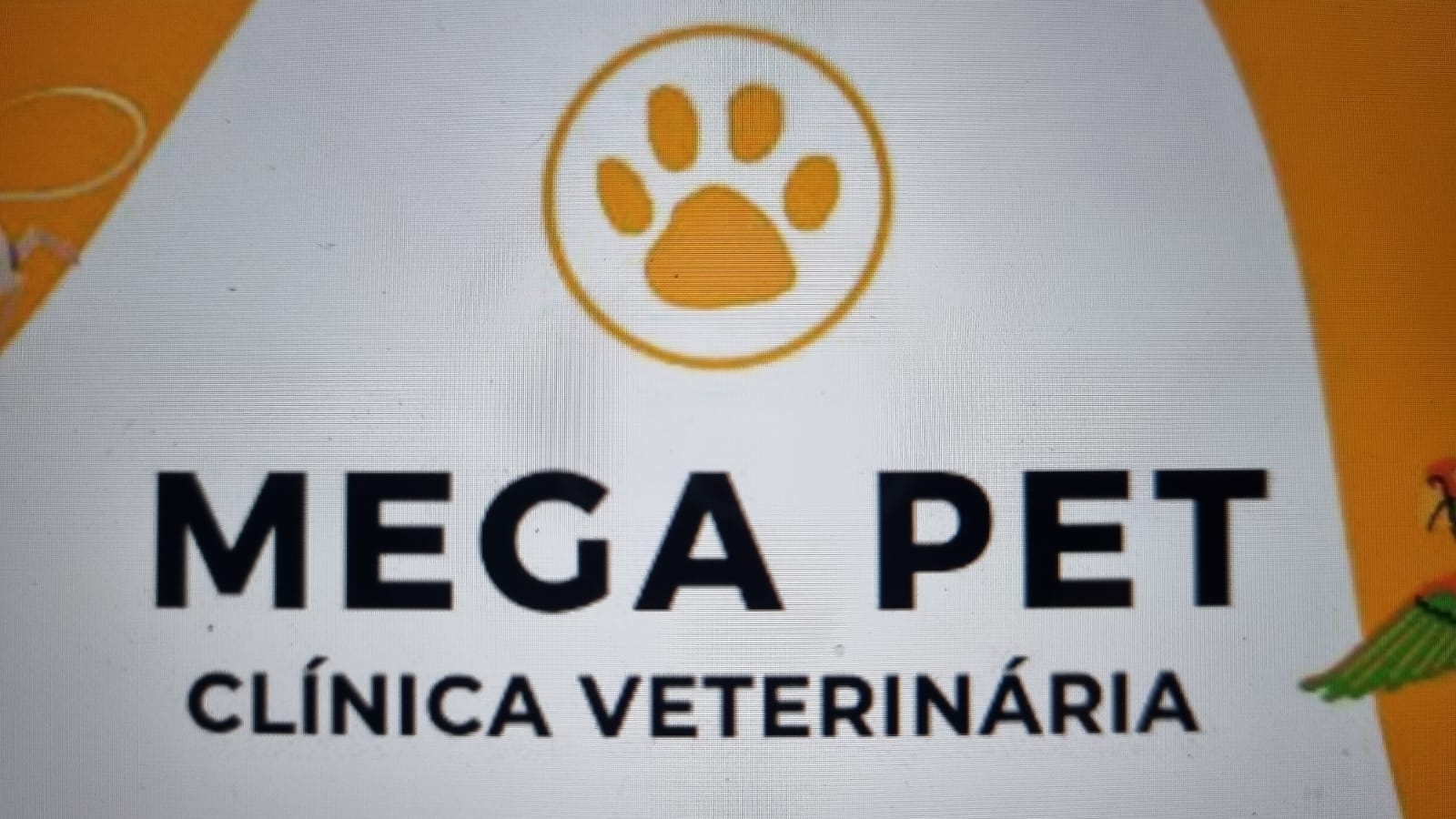 Mega Pet Clinica Veterinária