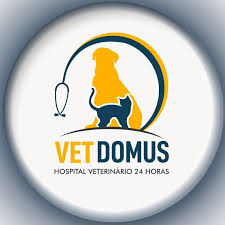 Vet Domus Hospital Veterinário